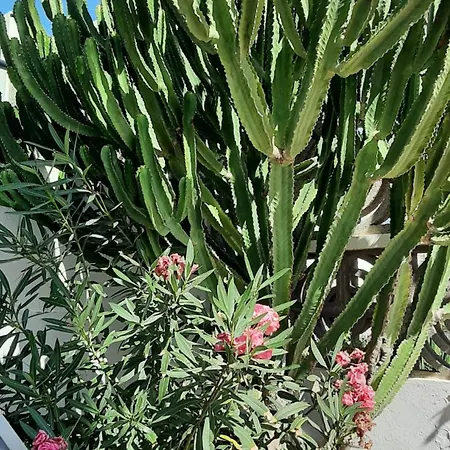 Blue Bay Paradise - Front With Sea View Apartamento Playa Paraiso (Tenerife)