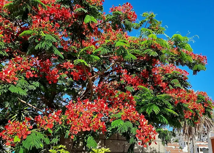 Blue Bay Paradise - Front With Sea View شقة *